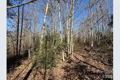 002 Rock Creek Church Road, North Wilkesboro, NC 28659 - Photo 12