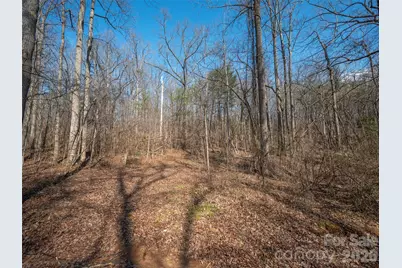 0000 Judge Road, Tryon, NC 28782 - Photo 20