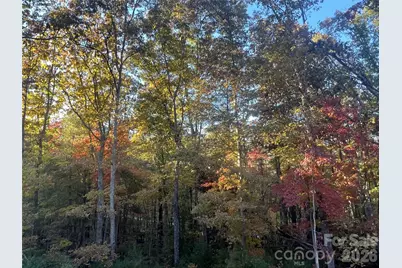 99999 Pole Creasman Road, Asheville, NC 28806 - Photo 4