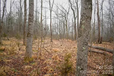 Tbd Dirgie Mine Road #C, Roxboro, NC 27574 - Photo 10