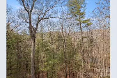 9 Stegall Lane, Asheville, NC 28805 - Photo 16