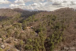 9 Stegall Ln, Asheville, NC 28805 - Photo 48