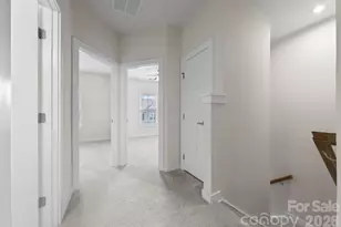 1835 Shumard Ln, Charlotte, NC 28205 - Photo 22