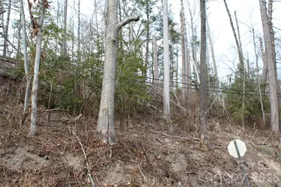 00 Monte Vista Circle, Spruce Pine, NC 28777 - Photo 18