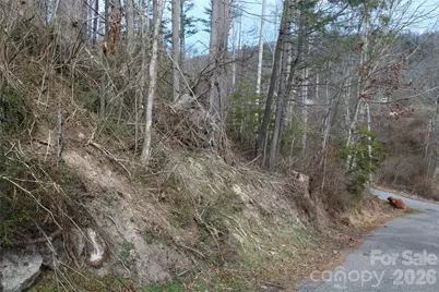 00 Monte Vista Circle, Spruce Pine, NC 28777 - Photo 10