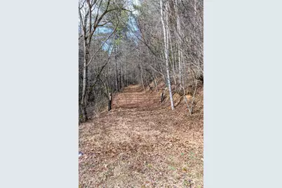 000 Narrow Gauge Drive #23, Collettsville, NC 28611 - Photo 8