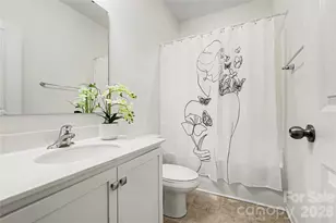 814 Ruckers CT, Tega Cay, SC 29708 - Photo 26