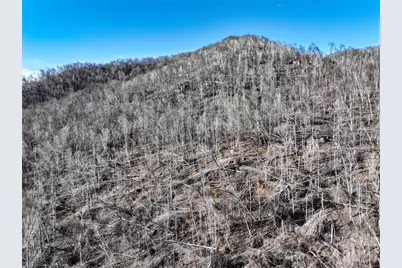 0000 Fork Mountain Road, Bakersville, NC 28705 - Photo 14