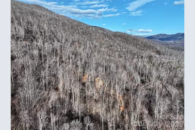 0000 Fork Mountain Road, Bakersville, NC 28705 - Photo 10