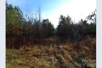 104 Ac Cedarhurst Road, Chester, SC 29706 - Photo 6