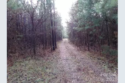 104 Ac Cedarhurst Road, Chester, SC 29706 - Photo 12