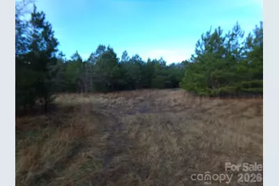 104 Ac Cedarhurst Road, Chester, SC 29706 - Photo 4