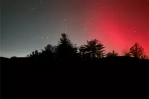 631 Mountain Pkwy, Mill Spring, NC 28756 - Photo 40