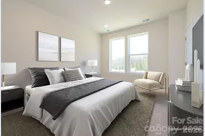 1140 Bismuth Lane, Charlotte, NC 28211 - Photo 2