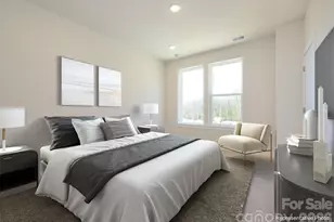 1140 Bismuth Ln, Charlotte, NC 28211 - Photo 2