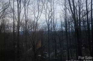 8 Shadywood Cir, Asheville, NC 28803 - Photo 14