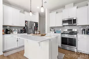 1908 Lowland Shade Ct, Maiden, NC 28650 - Photo 8