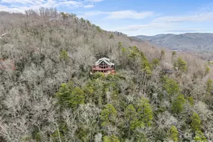 768 Gardner Ln, Pisgah Forest, NC 28768 - Photo 34