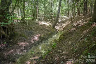 2243 Cottage Pk Rd, Morganton, NC 28655 - Photo 6