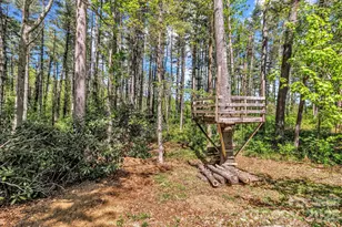 152 Joe Jenkins Rd, Fairview, NC 28730 - Photo 38