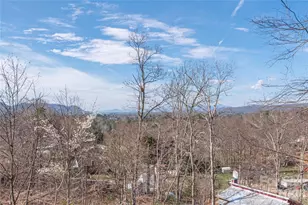 11 Briar Ridge Dr, Fairview, NC 28730 - Photo 18