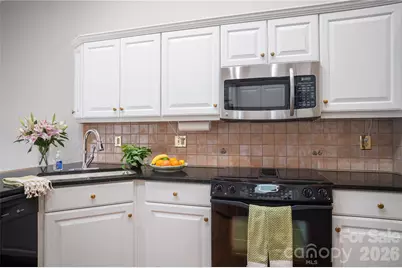 105 Fairway Knoll Drive, Hendersonville, NC 28739 - Photo 30