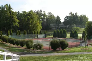 155 Winding Meadows Dr, Flat Rock, NC 28731 - Photo 46