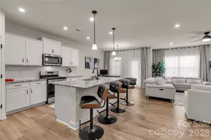 17010 Dogwood Crk Ln, Charlotte, NC 28278 - Photo 8