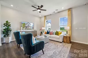 8678 Miles Gap Rd, Indian Land, SC 29707 - Photo 10