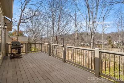 1410 Mountain Meadow Drive, Hendersonville, NC 28739 - Photo 22