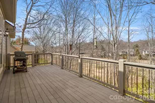 1410 Mountain Meadow Dr, Hendersonville, NC 28739 - Photo 22