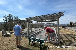 1410 Mountain Meadow Dr, Hendersonville, NC 28739 - Photo 44