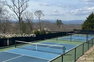 1410 Mountain Meadow Dr, Hendersonville, NC 28739 - Photo 42