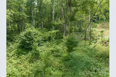 1394 Daydream Ridge, Swannanoa, NC 28778 - Photo 14