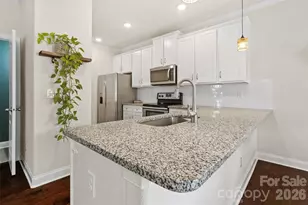 313 Praline Wy, Fort Mill, SC 29715 - Photo 12