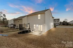 313 Praline Wy, Fort Mill, SC 29715 - Photo 34
