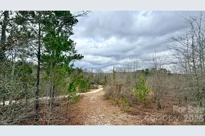 505 Shag Road, Chesterfield, SC 29709 - Photo 32