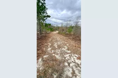 505 Shag Road, Chesterfield, SC 29709 - Photo 24