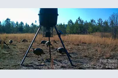 505 Shag Road, Chesterfield, SC 29709 - Photo 28