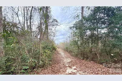 505 Shag Road, Chesterfield, SC 29709 - Photo 20