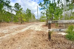 505 Shag Rd, Chesterfield, SC 29709 - Photo 1