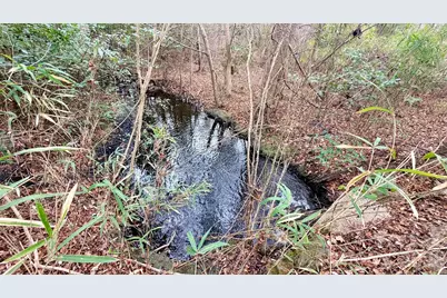 505 Shag Road, Chesterfield, SC 29709 - Photo 22