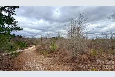 505 Shag Road, Chesterfield, SC 29709 - Photo 34