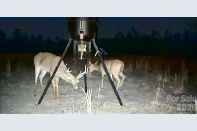 505 Shag Road, Chesterfield, SC 29709 - Photo 30