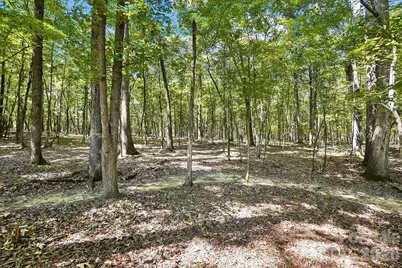Lot 2 Indian Trail Fairview Road, Indian Trail, NC 28079 - Photo 4