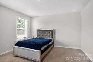 4211 Plumeria Way, Fort Mill, SC 29707 - Photo 18