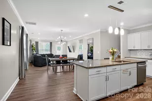 4211 Plumeria Way, Fort Mill, SC 29707 - Photo 4