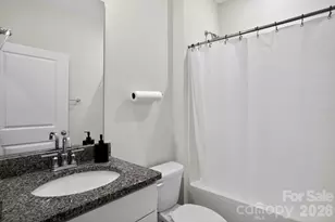 4211 Plumeria Way, Indian Land, SC 29707 - Photo 32