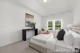 310 Jubilee Wy, Pageland, SC 29728 - Photo 14