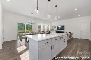 310 Jubilee Wy, Pageland, SC 29728 - Photo 4